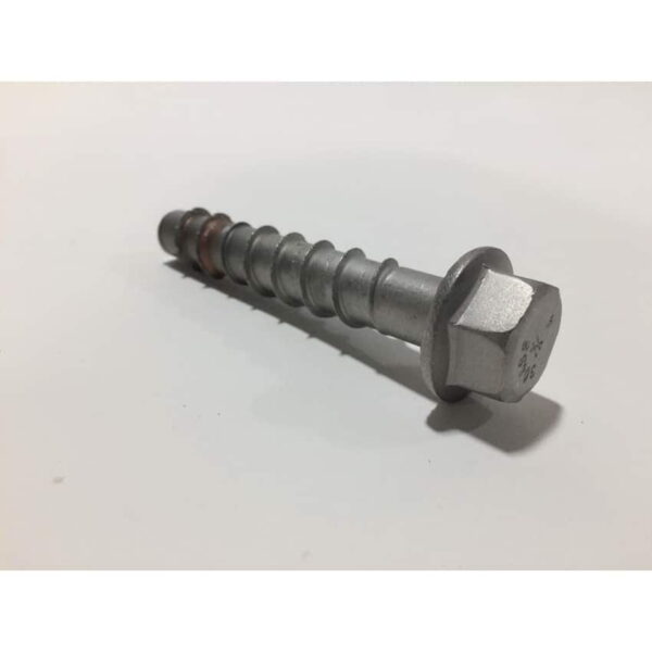 Stainless Anchor Bolts - 5/8" x 4" 304SS (Set of 4) - Park Supplier